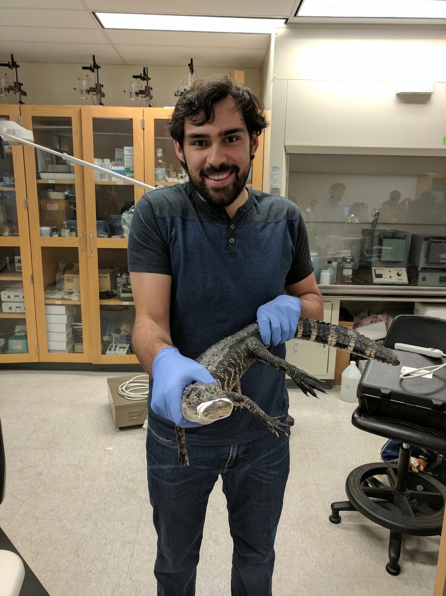 Eric as an undergraduate at CSUSB, holding a small alligator in a biology lab